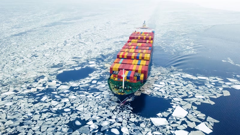 Container Cargo winter