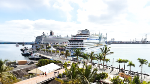 Cnary Islands Cruise - Crucero en Santa Catalina